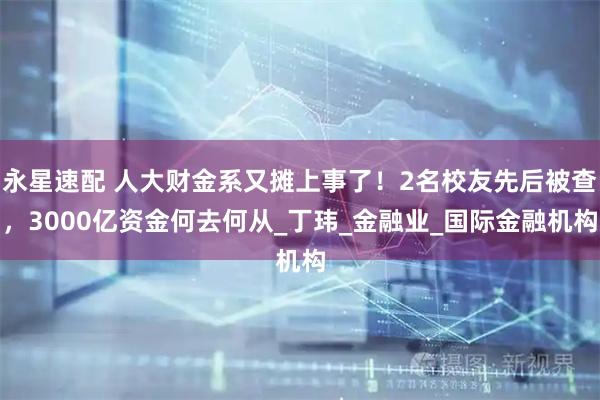 永星速配 人大财金系又摊上事了!2名校友先后被查,3000亿资金何去何从_丁玮_金融业_国际金融机构